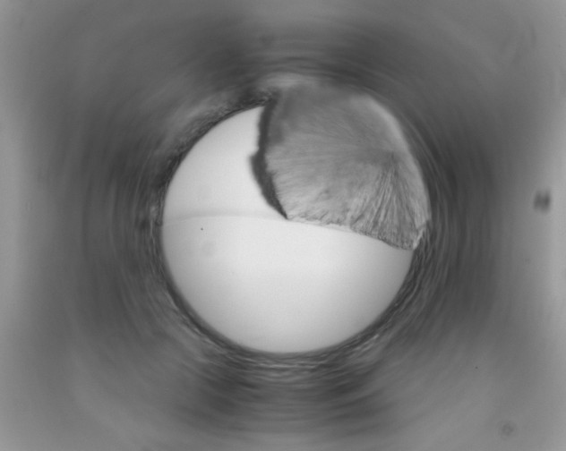 X0000091340553200709071220