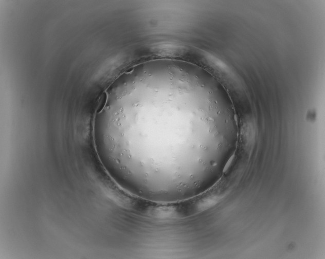 X0000091340554200709071220