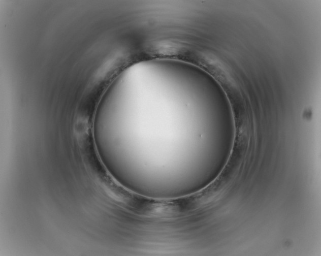 X0000091340555200709071220