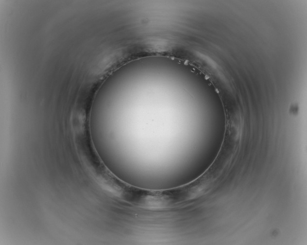 X0000091340556200709071220