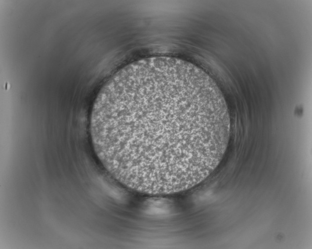 X0000091340557200709071220