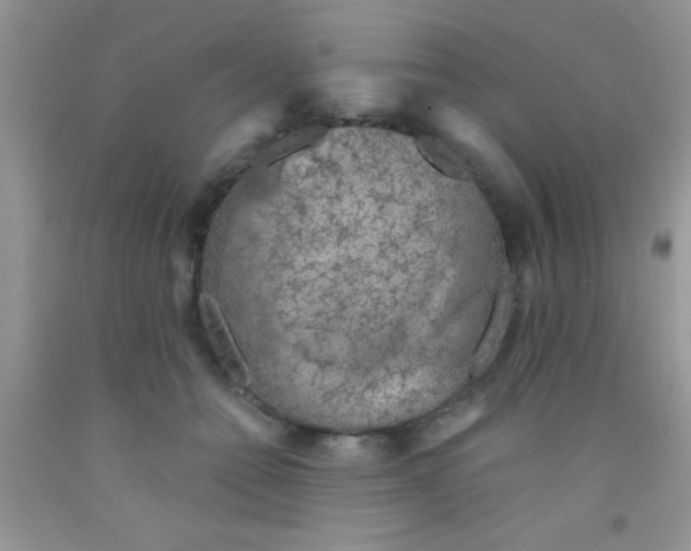 X0000091340558200709071220