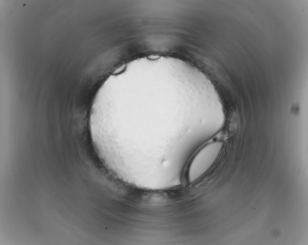 X0000091340559200709071220