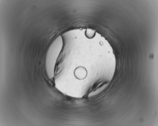 X0000091340560200709071220