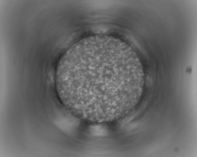 X0000091340561200709071220