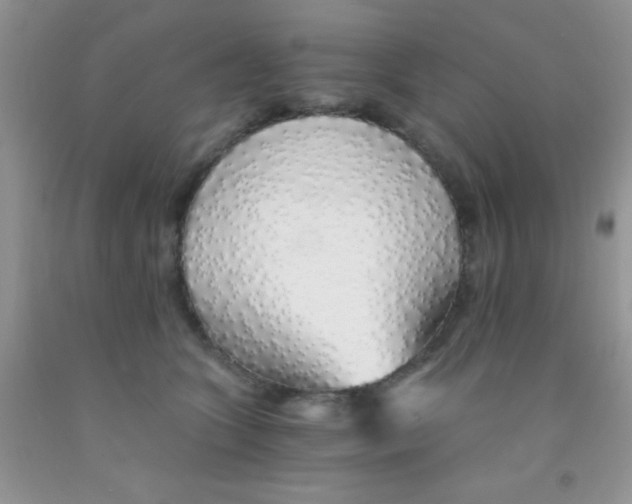 X0000091340563200709071220