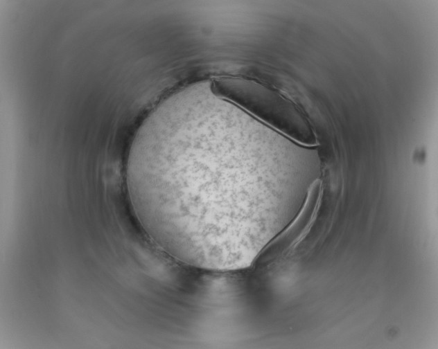 X0000091340564200709071220