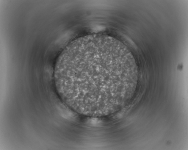 X0000091340565200709071220