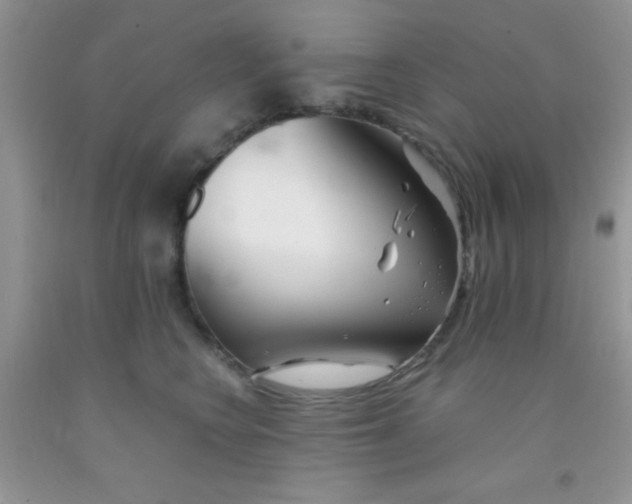 X0000091340566200709071220