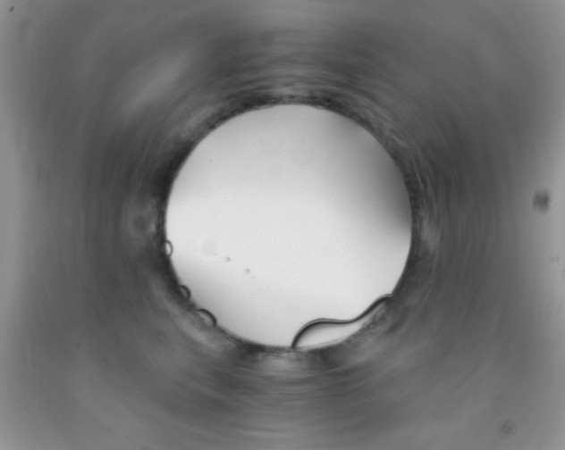 X0000091340567200709071220