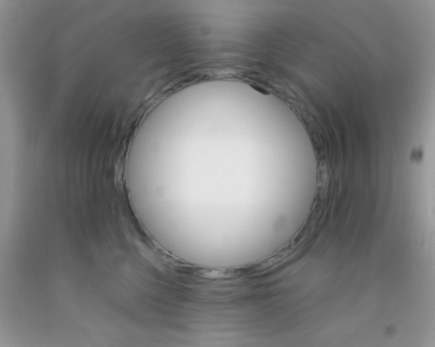 X0000091340568200709071220