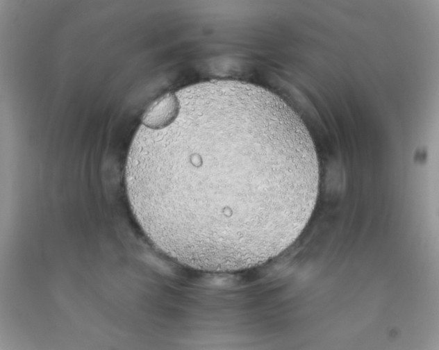 X0000091340569200709071220