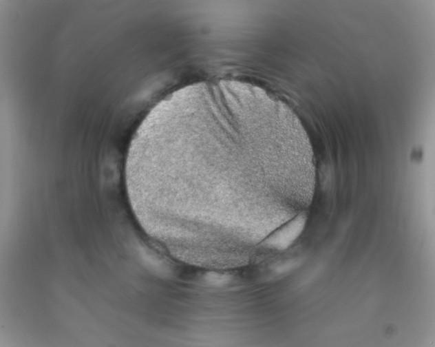 X0000091340570200709071220