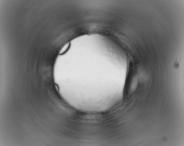 X0000091340571200709071220