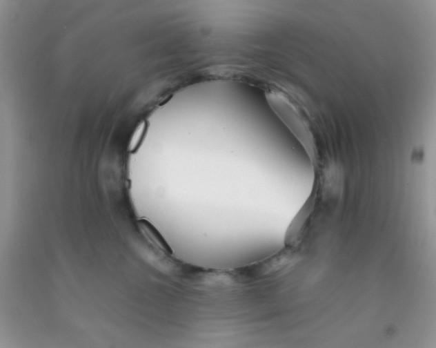 X0000091340572200709071220