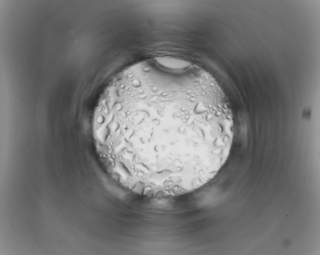 X0000091340573200709071220