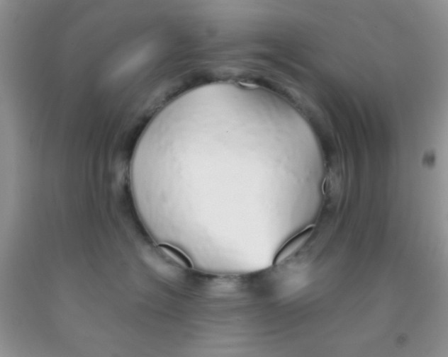 X0000091340574200709071220