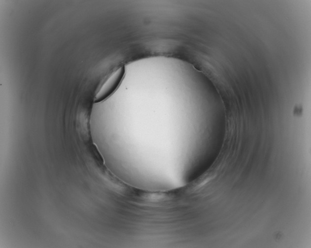 X0000091340575200709071220