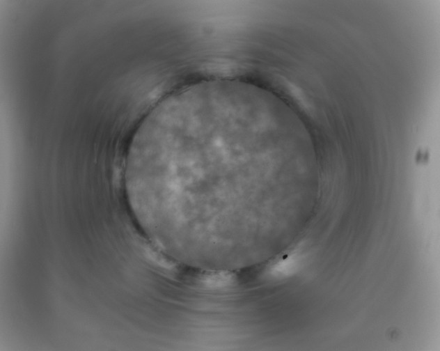 X0000091340576200709071220