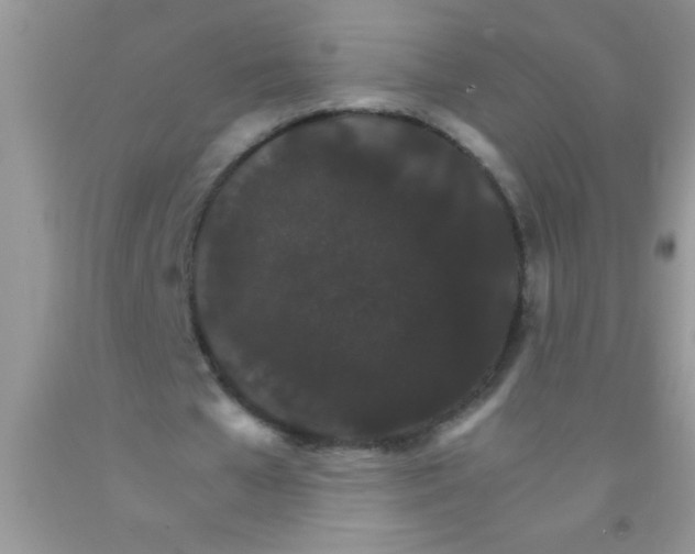 X0000091340577200709071220