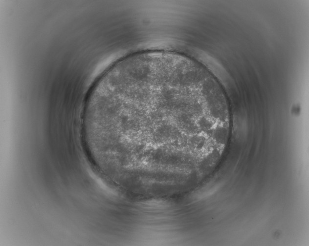 X0000091340578200709071220