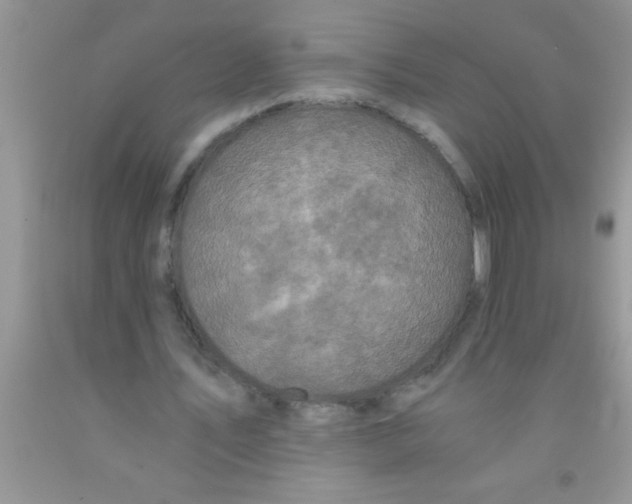 X0000091340579200709071220