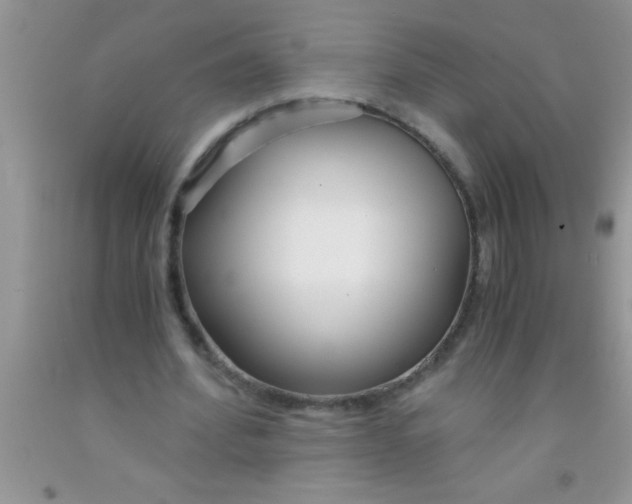 X0000091340580200709071220