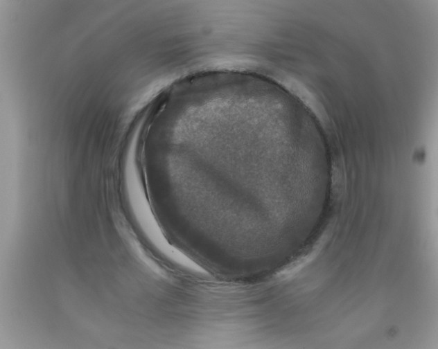 X0000091340581200709071220