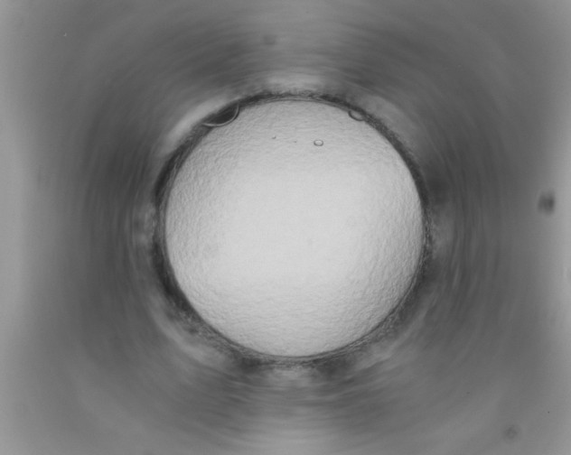 X0000091340583200709071220