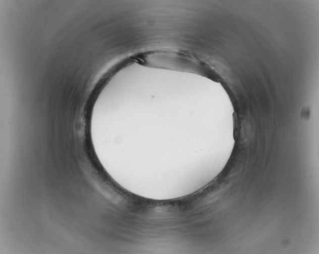 X0000091340584200709071220