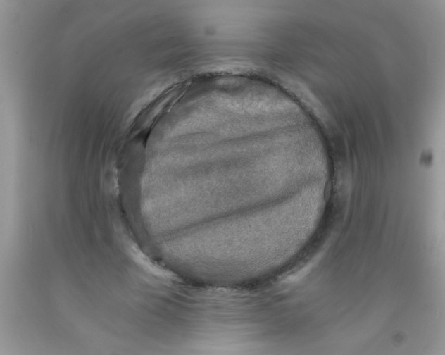 X0000091340585200709071220