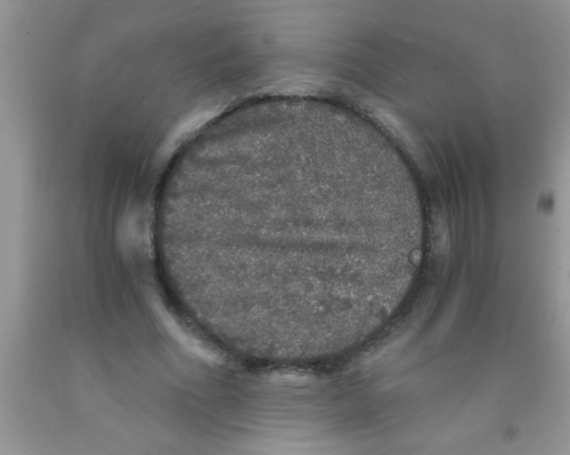 X0000091340586200709071220