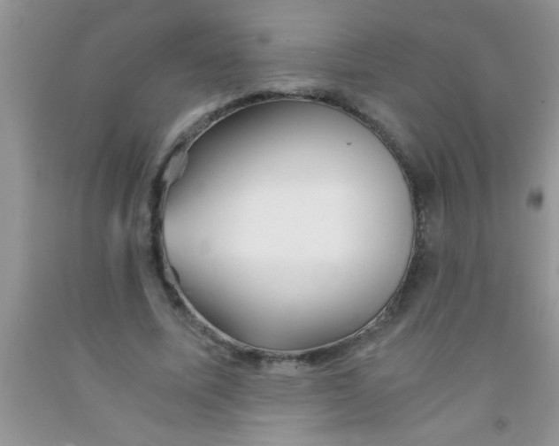 X0000091340587200709071220