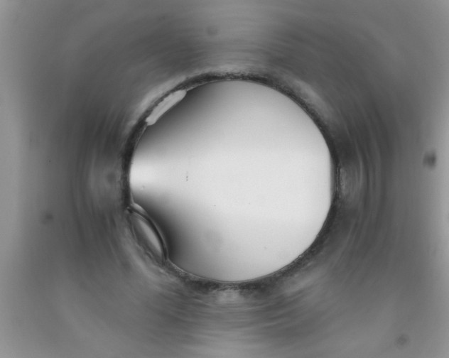 X0000091340588200709071220