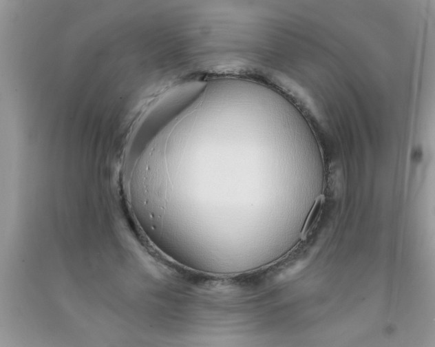 X0000091340589200709071220