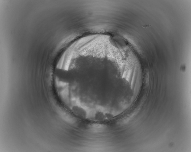 X0000091340590200709071220