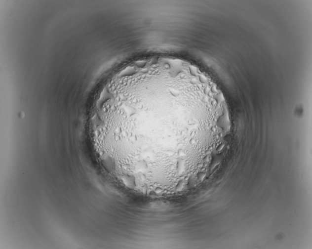 X0000091340591200709071220