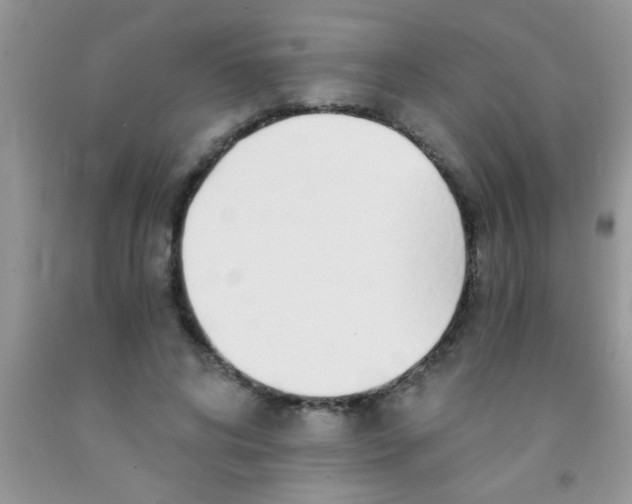 X0000091340592200709071220