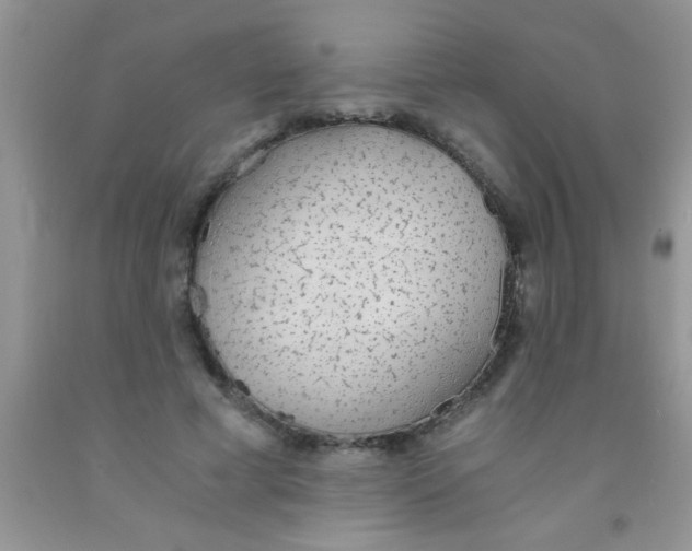 X0000091340593200709071220