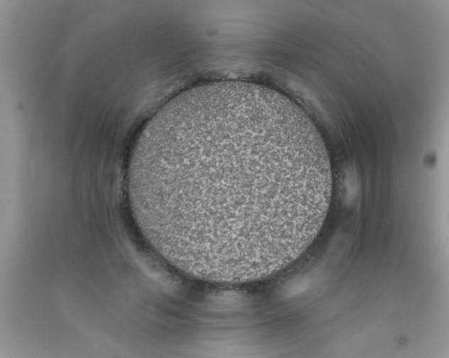 X0000091340594200709071220