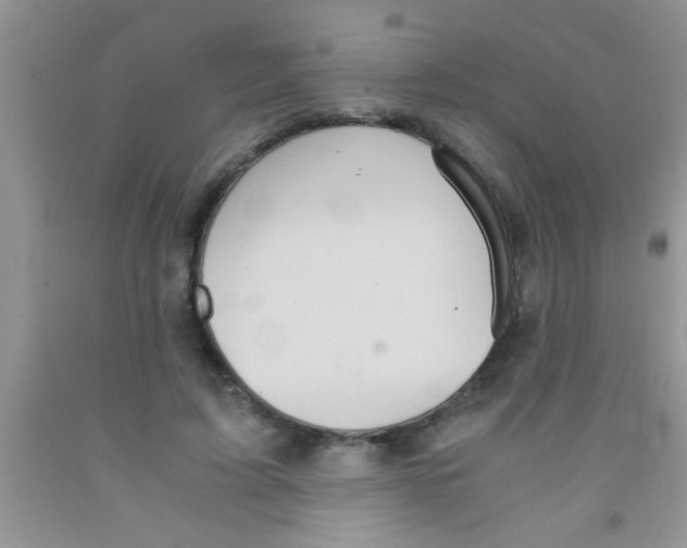 X0000091340595200709071220