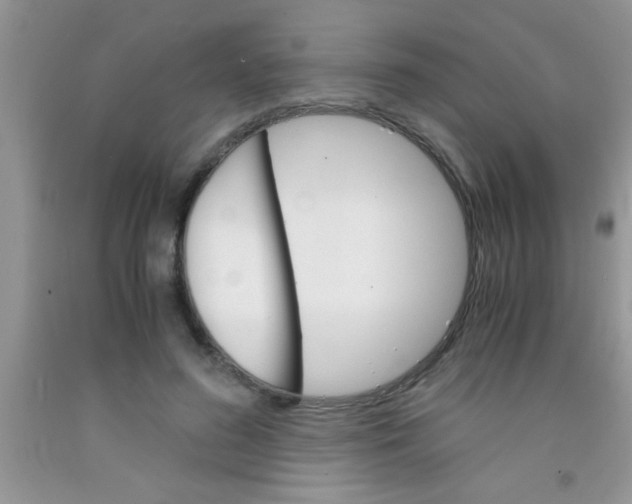 X0000091340596200709071219