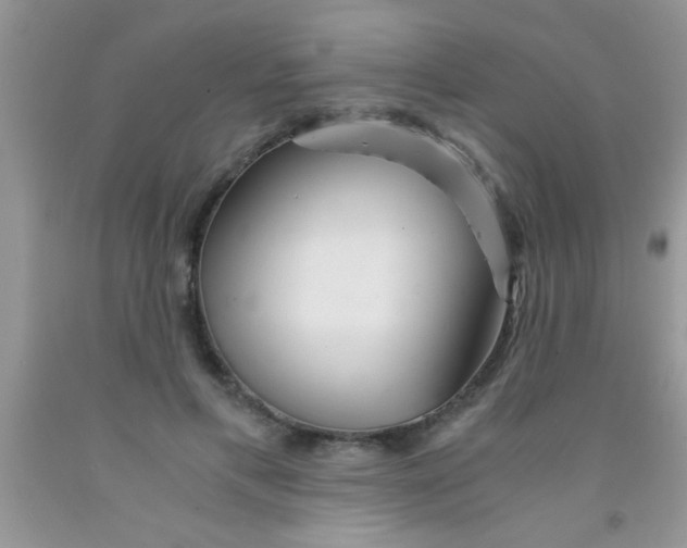 X0000091340597200709071219