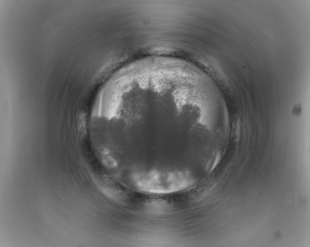 X0000091340598200709071219