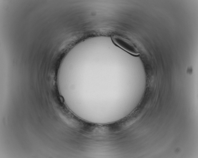 X0000091340599200709071219