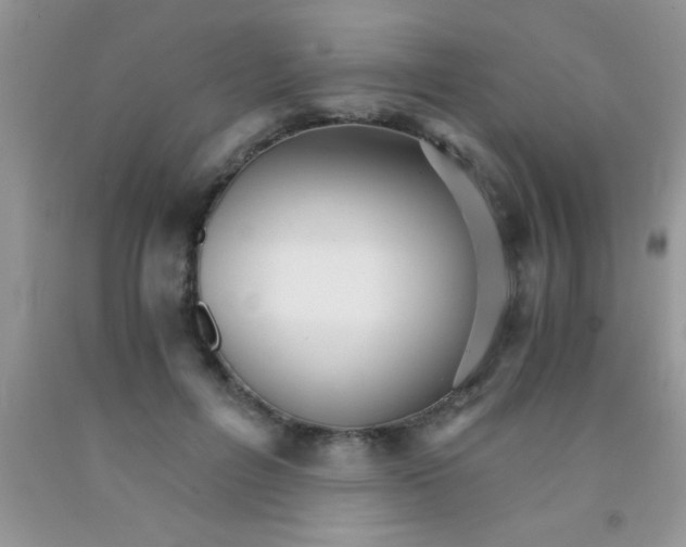 X0000091340600200709071219