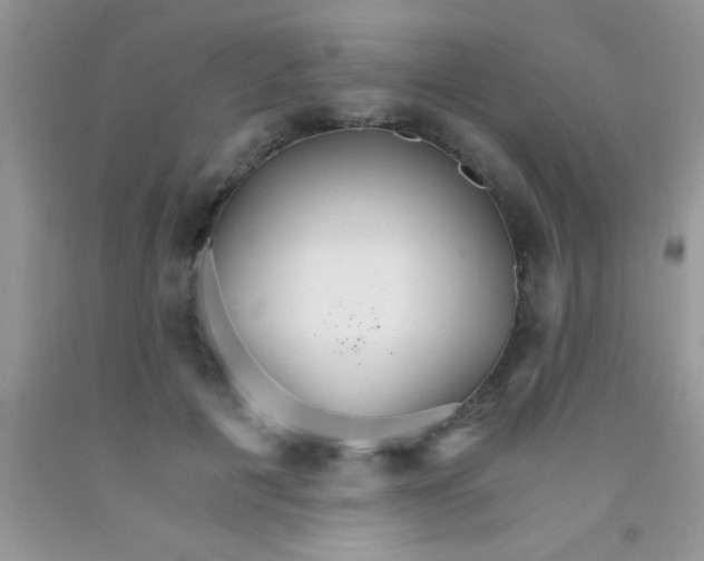 X0000091340601200709071219