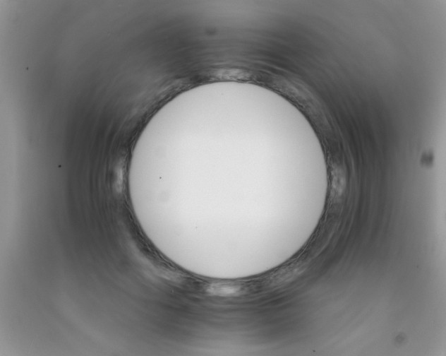 X0000091340602200709071219