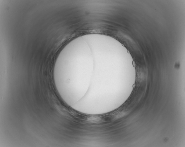 X0000091340603200709071219