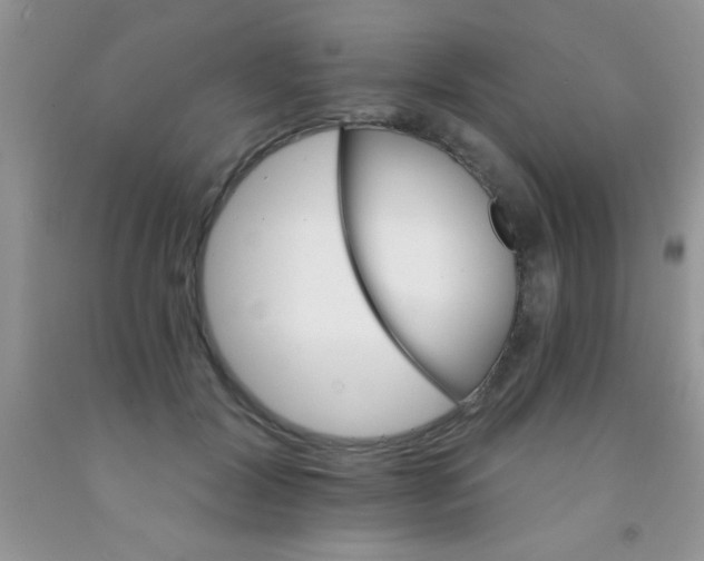 X0000091340604200709071219